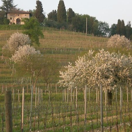 Agriturismo Giorgio Colutta Vila Manzano Exterior foto