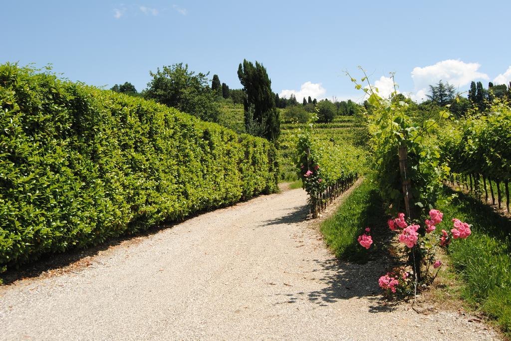 Agriturismo Giorgio Colutta Vila Manzano Exterior foto